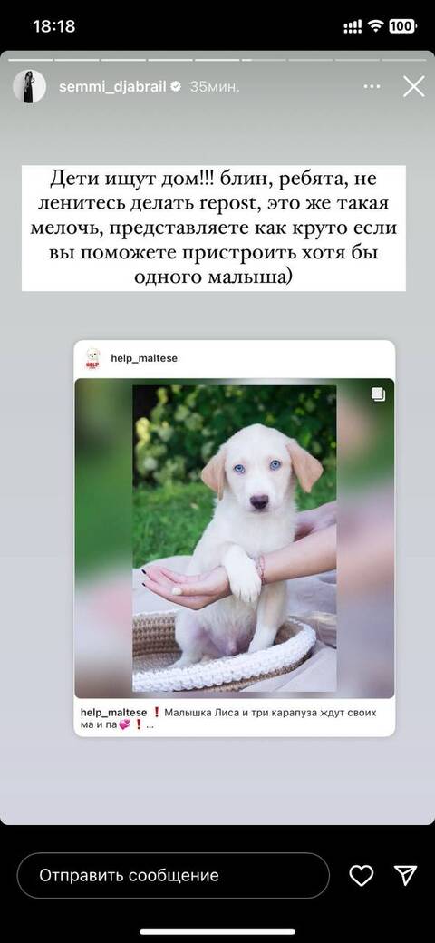 https://upforme.ru/uploads/001b/92/d8/801/t71464.jpg
