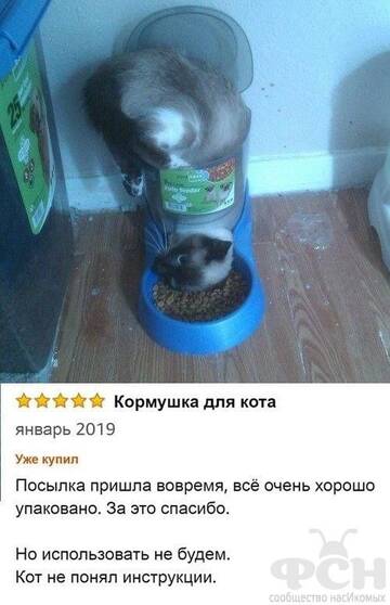 https://upforme.ru/uploads/001b/92/d8/83/t300622.jpg