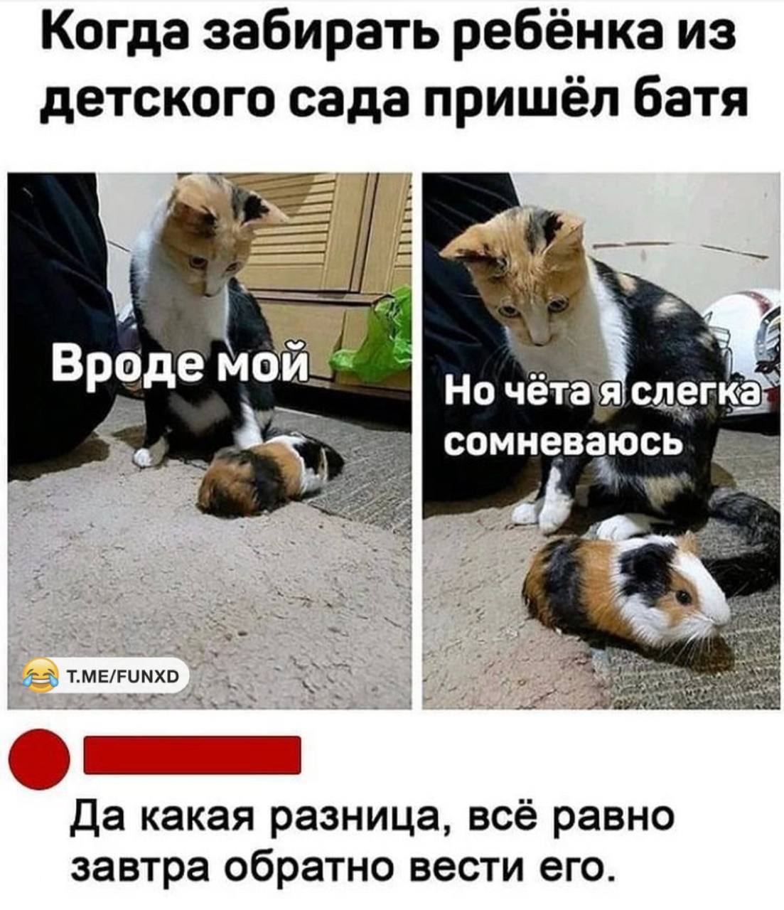 https://upforme.ru/uploads/001b/92/d8/834/425229.jpg