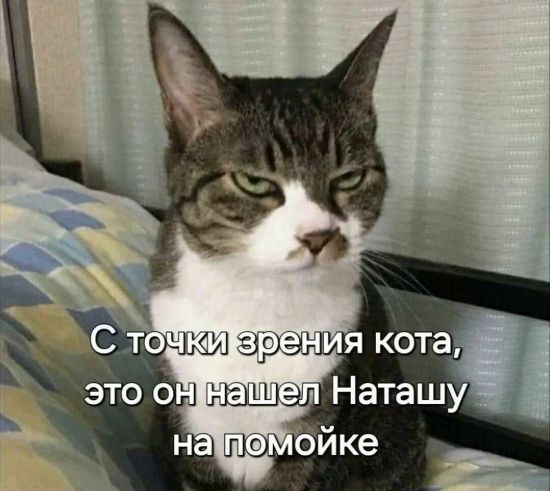 https://upforme.ru/uploads/001b/92/d8/834/801666.jpg