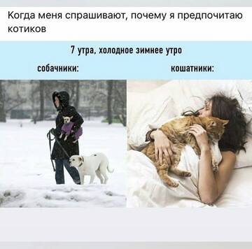 https://upforme.ru/uploads/001b/92/d8/834/t11285.jpg