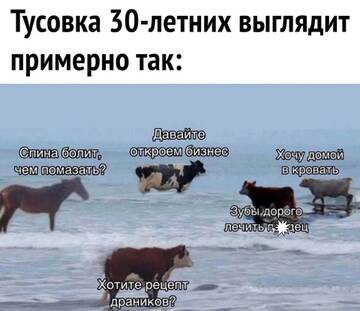 https://upforme.ru/uploads/001b/92/d8/834/t171133.jpg