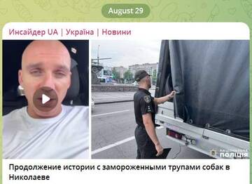 https://upforme.ru/uploads/001b/92/d8/834/t215109.jpg