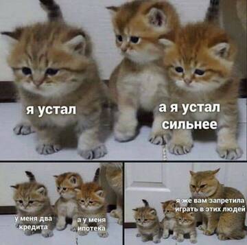 https://upforme.ru/uploads/001b/92/d8/834/t219507.jpg