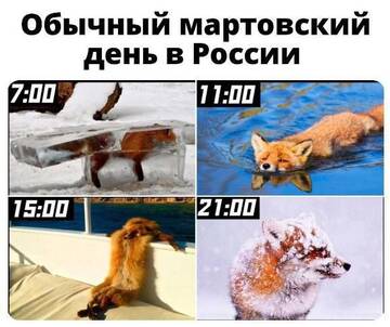 https://upforme.ru/uploads/001b/92/d8/834/t224246.jpg