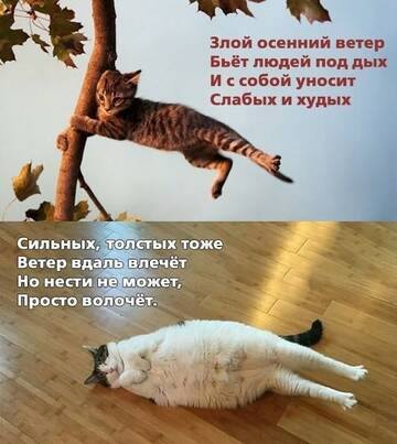 https://upforme.ru/uploads/001b/92/d8/834/t229233.jpg