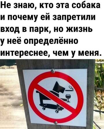 https://upforme.ru/uploads/001b/92/d8/834/t279555.jpg