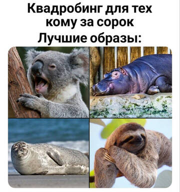 https://upforme.ru/uploads/001b/92/d8/834/t290107.jpg