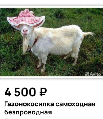 https://upforme.ru/uploads/001b/92/d8/834/t313266.png