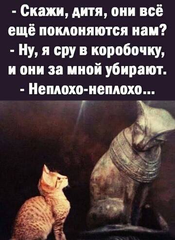https://upforme.ru/uploads/001b/92/d8/834/t320170.jpg