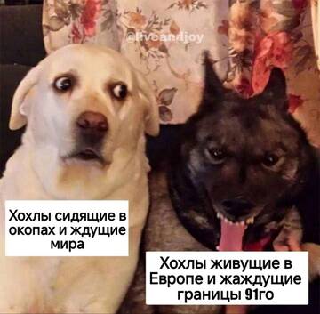 https://upforme.ru/uploads/001b/92/d8/834/t32700.jpg