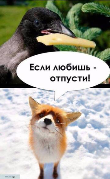 https://upforme.ru/uploads/001b/92/d8/834/t327915.jpg