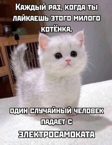 https://upforme.ru/uploads/001b/92/d8/834/t377244.jpg