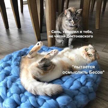 https://upforme.ru/uploads/001b/92/d8/834/t423169.jpg