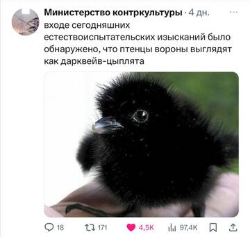 https://upforme.ru/uploads/001b/92/d8/834/t445356.jpg