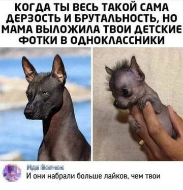 https://upforme.ru/uploads/001b/92/d8/834/t456885.jpg
