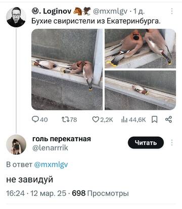 https://upforme.ru/uploads/001b/92/d8/834/t484379.jpg