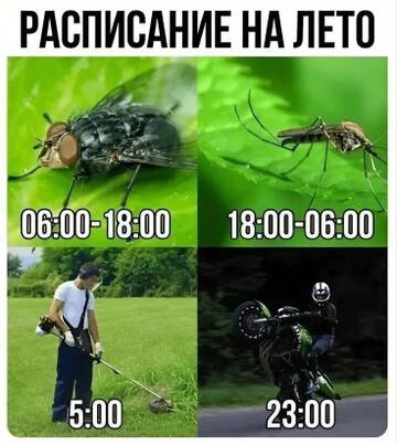 https://upforme.ru/uploads/001b/92/d8/834/t488094.jpg