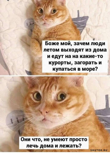 https://upforme.ru/uploads/001b/92/d8/834/t493647.jpg