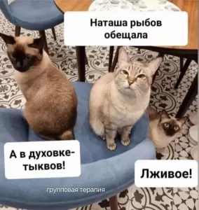 https://upforme.ru/uploads/001b/92/d8/834/t493796.webp