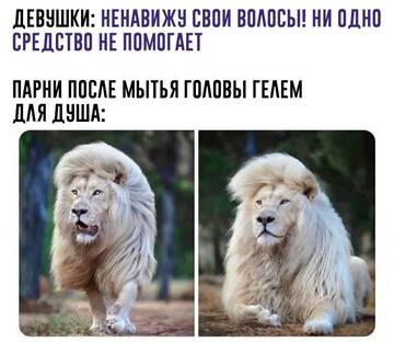 https://upforme.ru/uploads/001b/92/d8/834/t499913.jpg