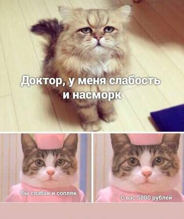 https://upforme.ru/uploads/001b/92/d8/834/t508613.jpg