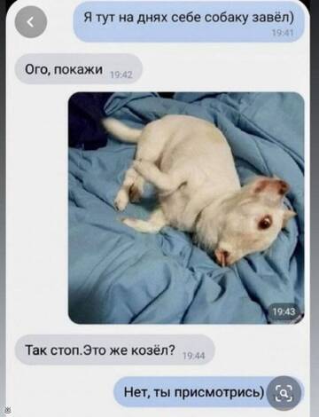 https://upforme.ru/uploads/001b/92/d8/834/t573663.jpg