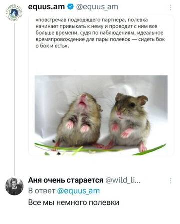 https://upforme.ru/uploads/001b/92/d8/834/t576237.jpg