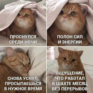 https://upforme.ru/uploads/001b/92/d8/834/t580281.jpg