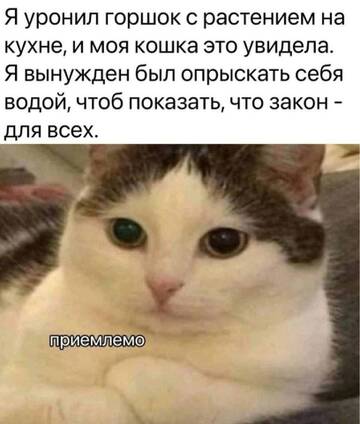 https://upforme.ru/uploads/001b/92/d8/834/t588362.jpg