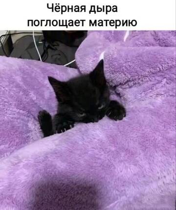https://upforme.ru/uploads/001b/92/d8/834/t59147.jpg