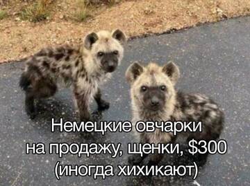 https://upforme.ru/uploads/001b/92/d8/834/t619230.jpg