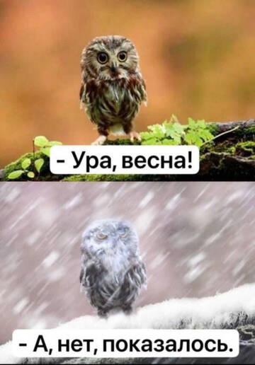 https://upforme.ru/uploads/001b/92/d8/834/t628580.jpg