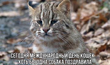 https://upforme.ru/uploads/001b/92/d8/834/t633509.jpg