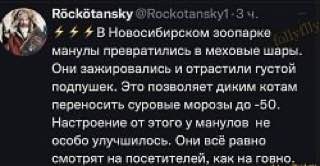 https://upforme.ru/uploads/001b/92/d8/834/t637453.jpg