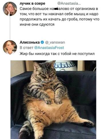 https://upforme.ru/uploads/001b/92/d8/834/t638909.jpg