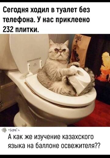 https://upforme.ru/uploads/001b/92/d8/834/t643243.jpg