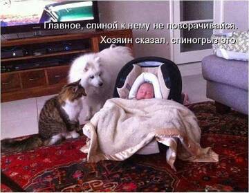 https://upforme.ru/uploads/001b/92/d8/834/t644570.jpg
