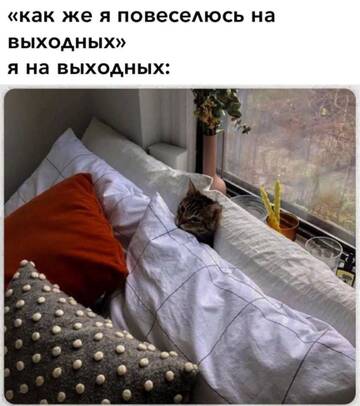 https://upforme.ru/uploads/001b/92/d8/834/t670888.jpg