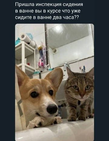 https://upforme.ru/uploads/001b/92/d8/834/t716458.jpg