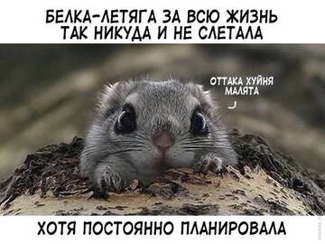 https://upforme.ru/uploads/001b/92/d8/834/t737090.jpg