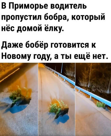 https://upforme.ru/uploads/001b/92/d8/834/t772545.jpg