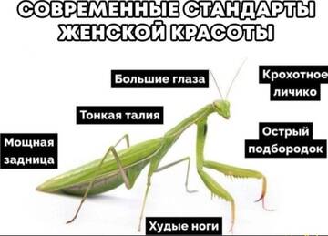 https://upforme.ru/uploads/001b/92/d8/834/t774730.jpg