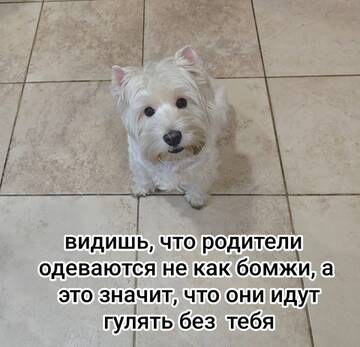 https://upforme.ru/uploads/001b/92/d8/834/t839318.jpg