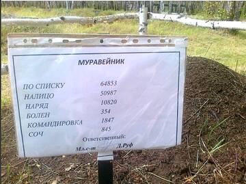 https://upforme.ru/uploads/001b/92/d8/834/t85755.jpg