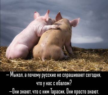 https://upforme.ru/uploads/001b/92/d8/834/t886503.jpg