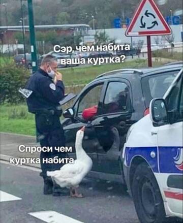 https://upforme.ru/uploads/001b/92/d8/834/t895156.jpg