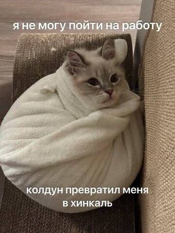 https://upforme.ru/uploads/001b/92/d8/834/t968899.jpg