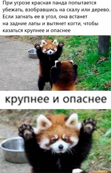 https://upforme.ru/uploads/001b/92/d8/834/t969869.jpg