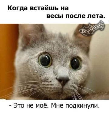 https://upforme.ru/uploads/001b/92/d8/834/t97293.jpg